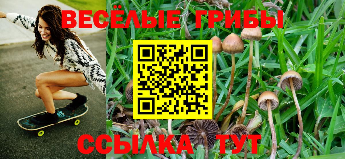 Галлюциногенные грибы Magic Shrooms  Вход с VPN  Богданович 